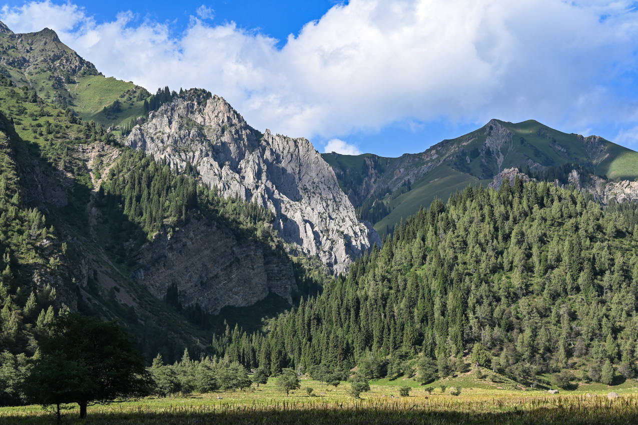 Долина реки Афлатун, изображение ландшафта.