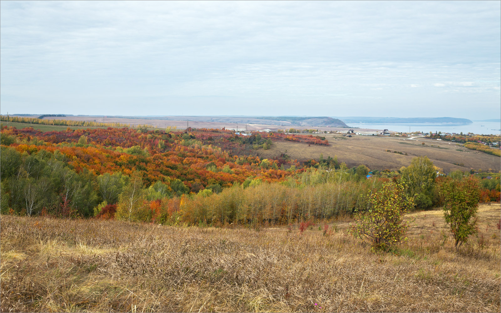 Красновидово, image of landscape/habitat.