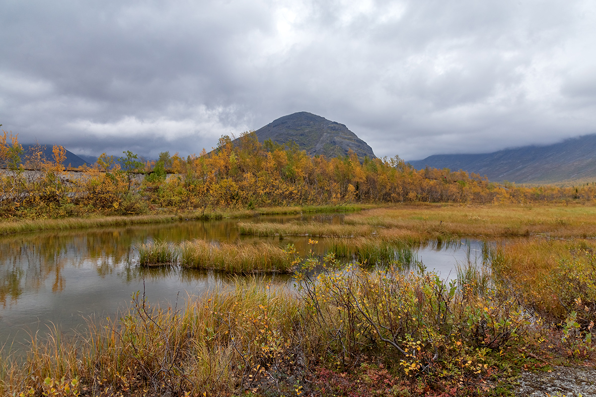 Долина Малого Вудъявра, image of landscape/habitat.