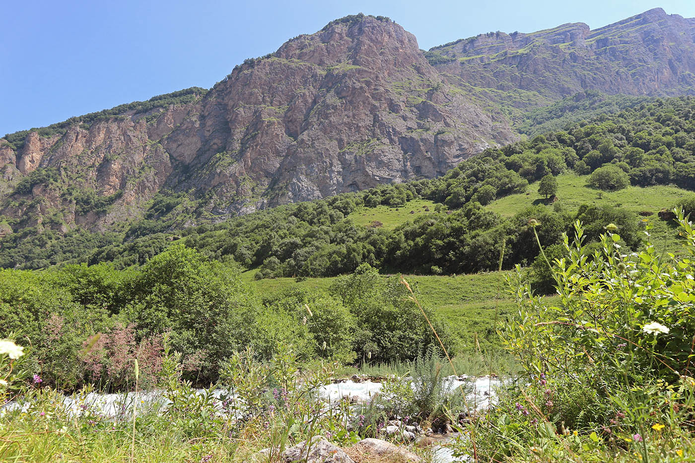 Хазнидонская теснина, image of landscape/habitat.