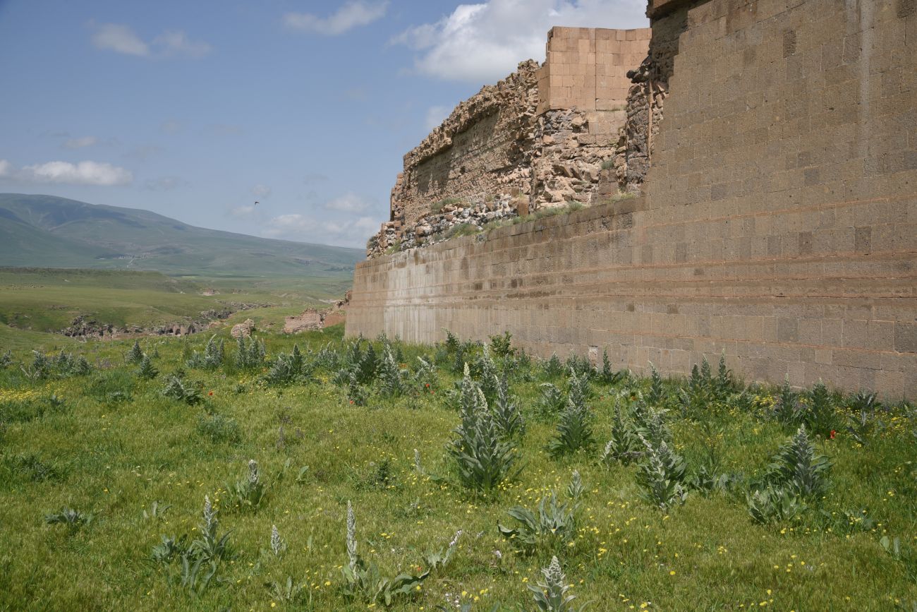 Окрестности бывшего города Ани, image of landscape/habitat.