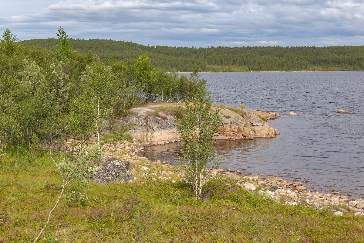 Окрестности Рогозера, image of landscape/habitat.