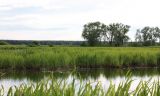 Image of landscape
