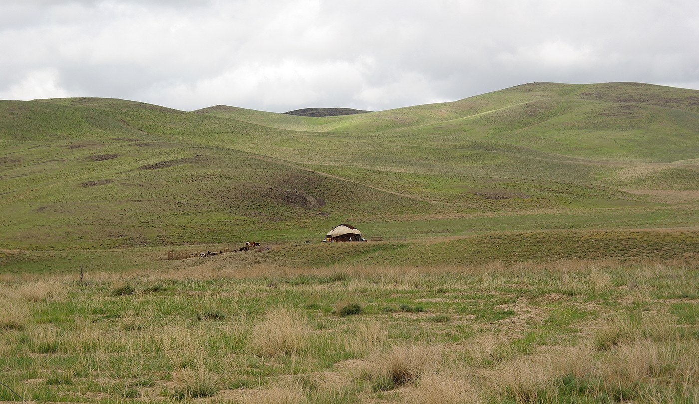 Бесарык, image of landscape/habitat.