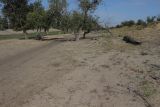 Image of landscape