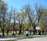 Стокгольм, image of landscape/habitat.