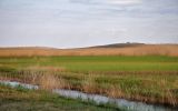 Image of landscape