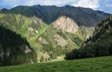 Image of landscape