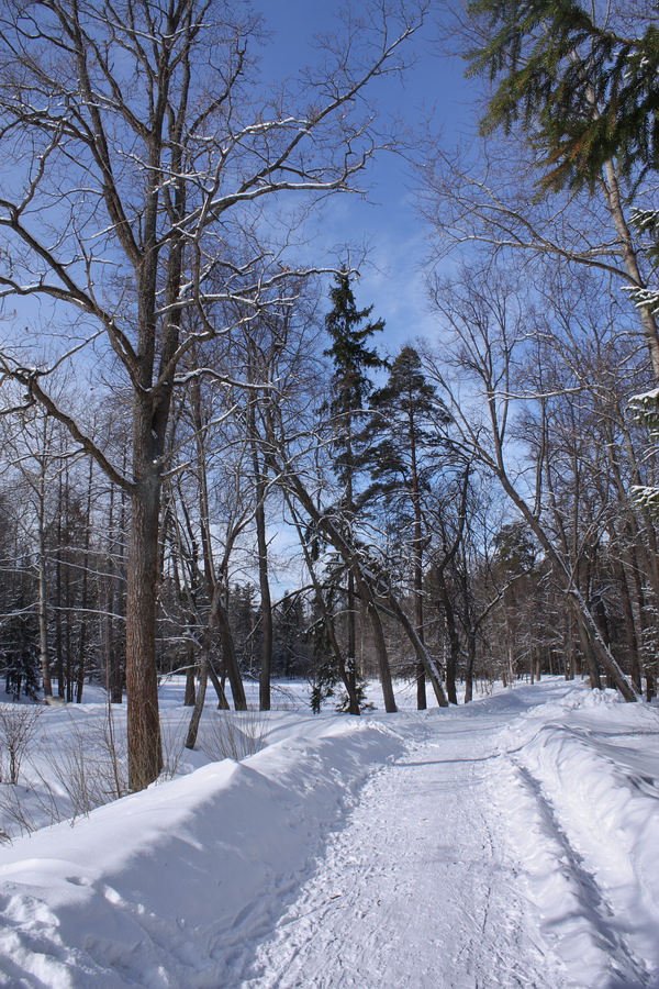 Парк "Сергиевка", image of landscape/habitat.