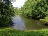 Image of landscape