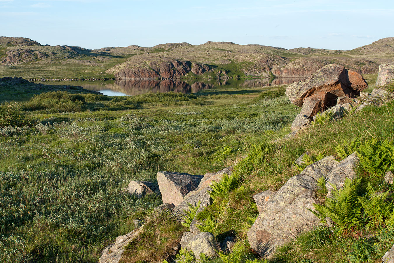 Столбовое озеро, image of landscape/habitat.