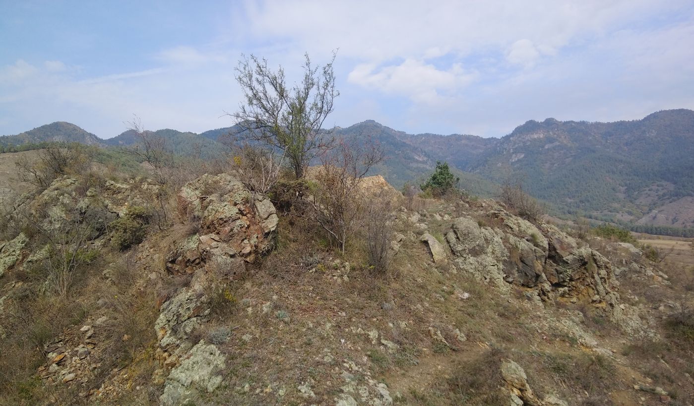 Окрестности Мокцевис-Цихе, image of landscape/habitat.