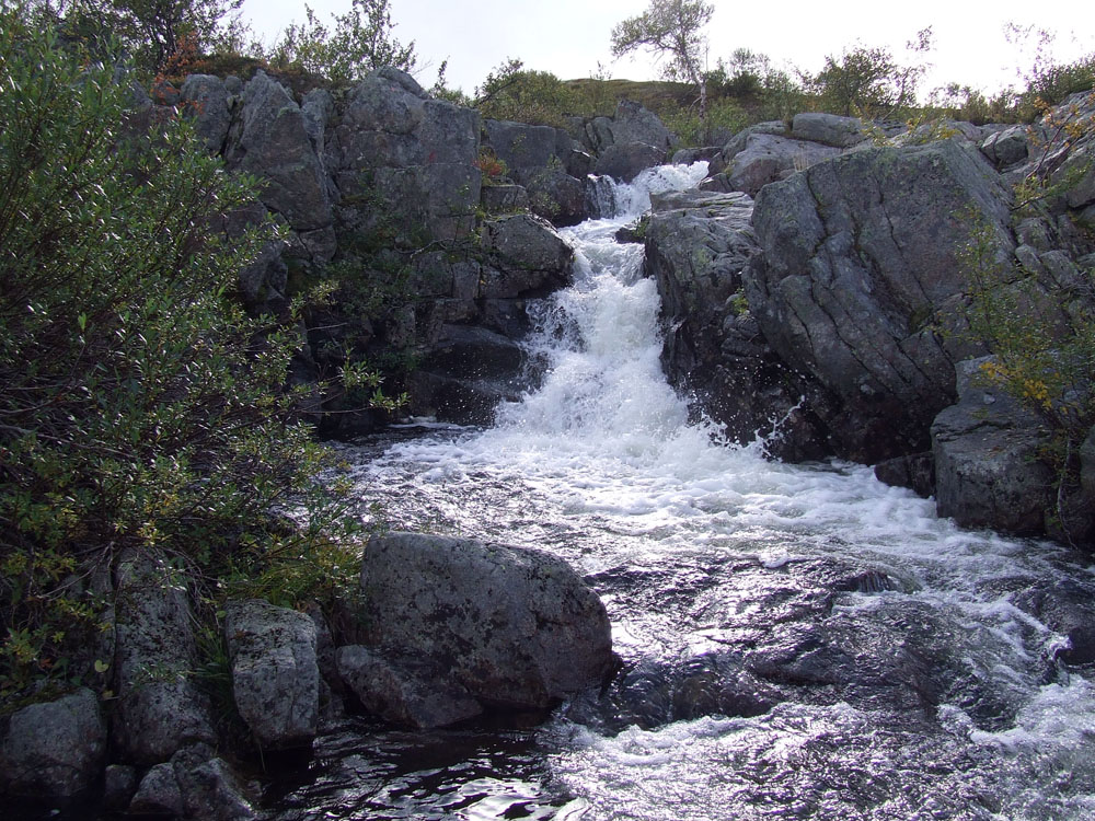 Туманный, image of landscape/habitat.