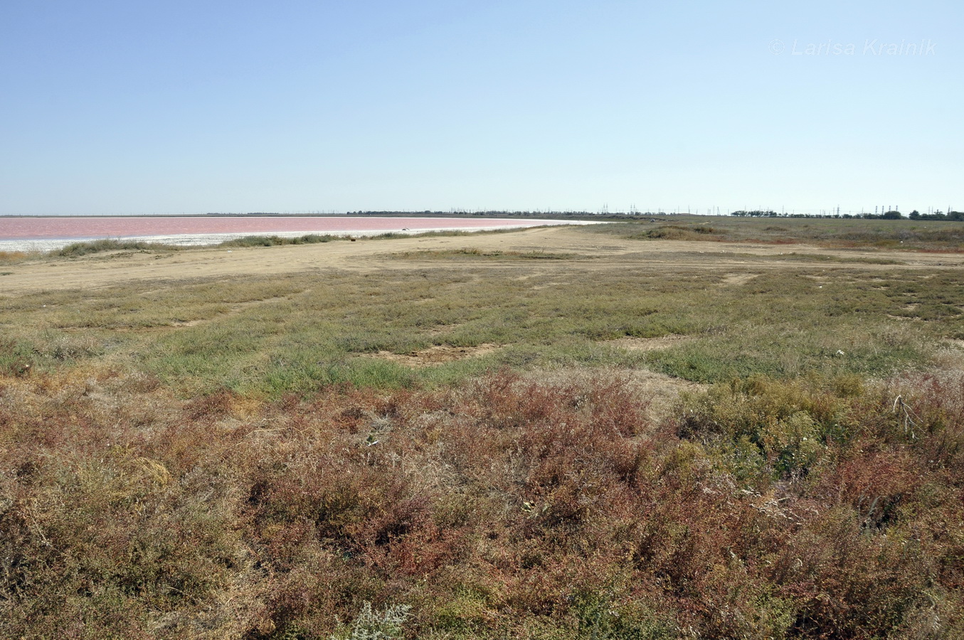 Окрестности озера Сасык, image of landscape/habitat.