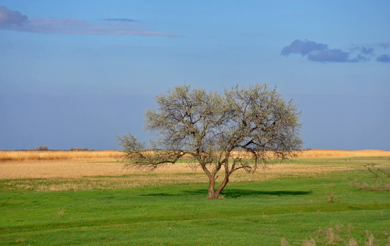 Ерик Галга, image of landscape/habitat.