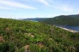 Image of landscape