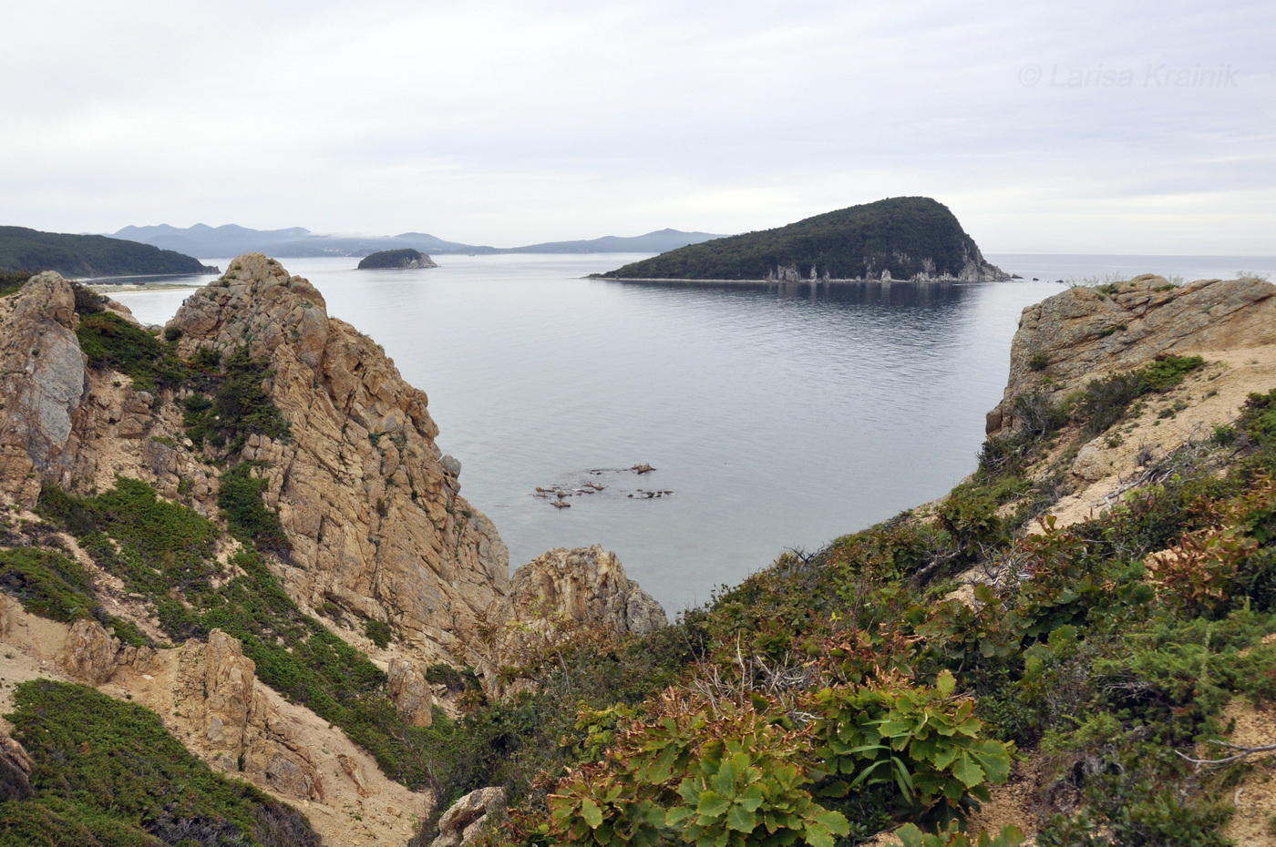 Остров Петрова, изображение ландшафта.