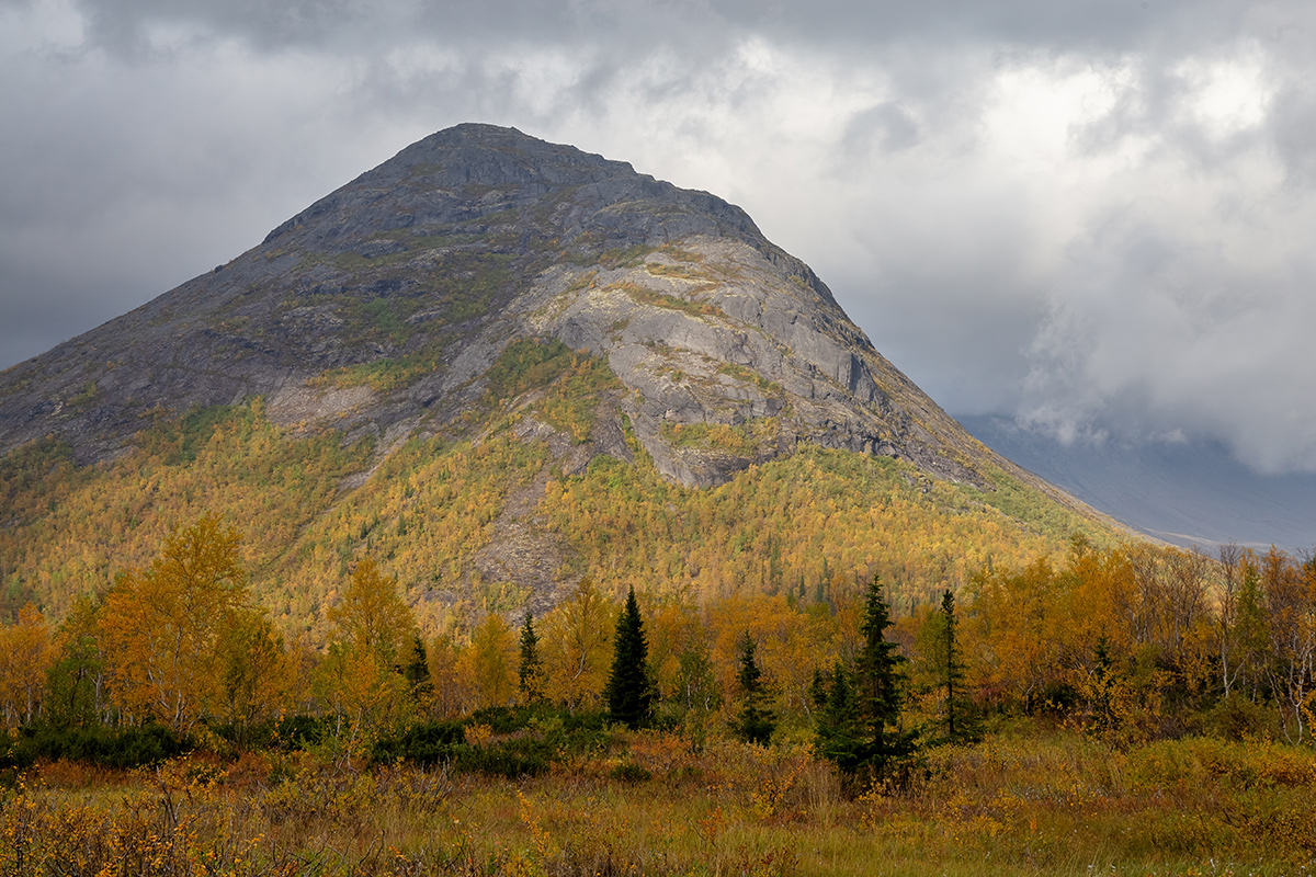 Долина Малого Вудъявра, image of landscape/habitat.