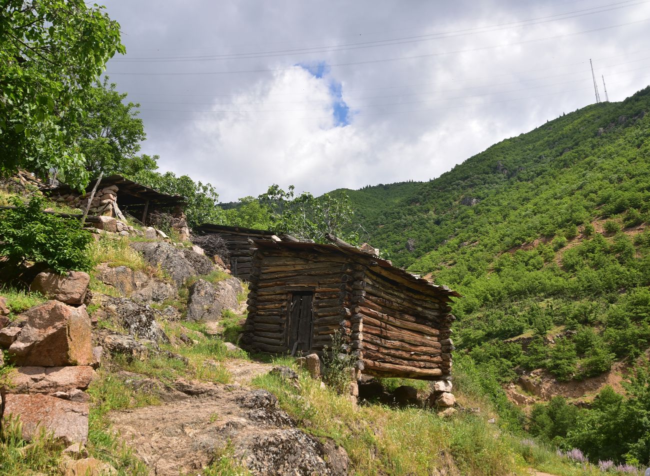 Окрестности деревни Баглик, image of landscape/habitat.