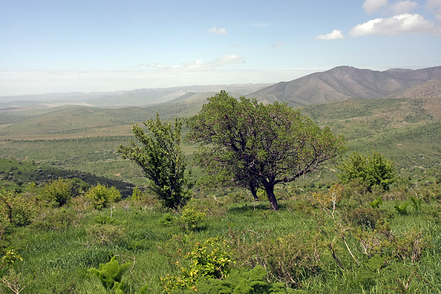 Горы Кокбулак, изображение ландшафта.