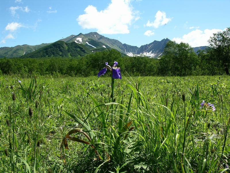Горный массив Вачкажец, image of landscape/habitat.