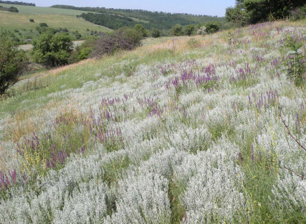 Верховья реки Самоткань, image of landscape/habitat.