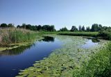 Верховья Каспли, image of landscape/habitat.