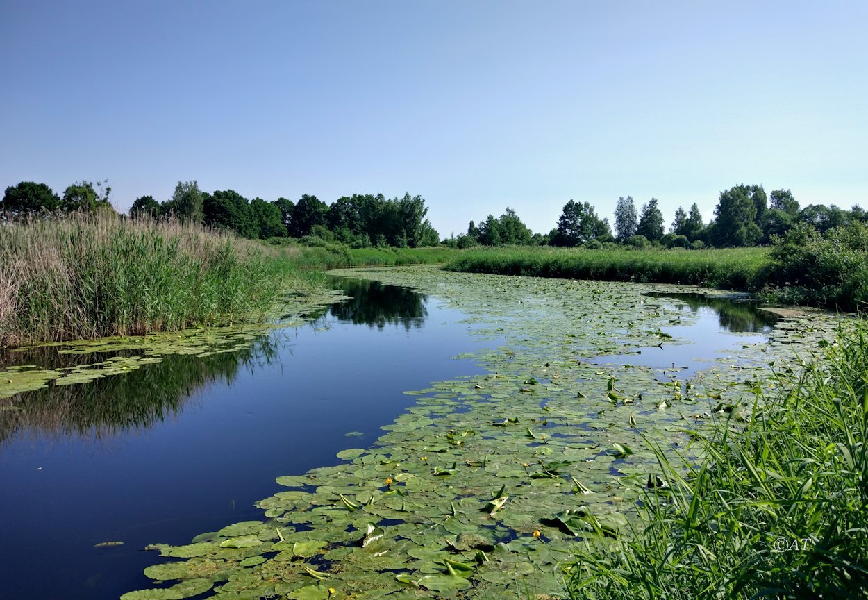 Верховья Каспли, image of landscape/habitat.