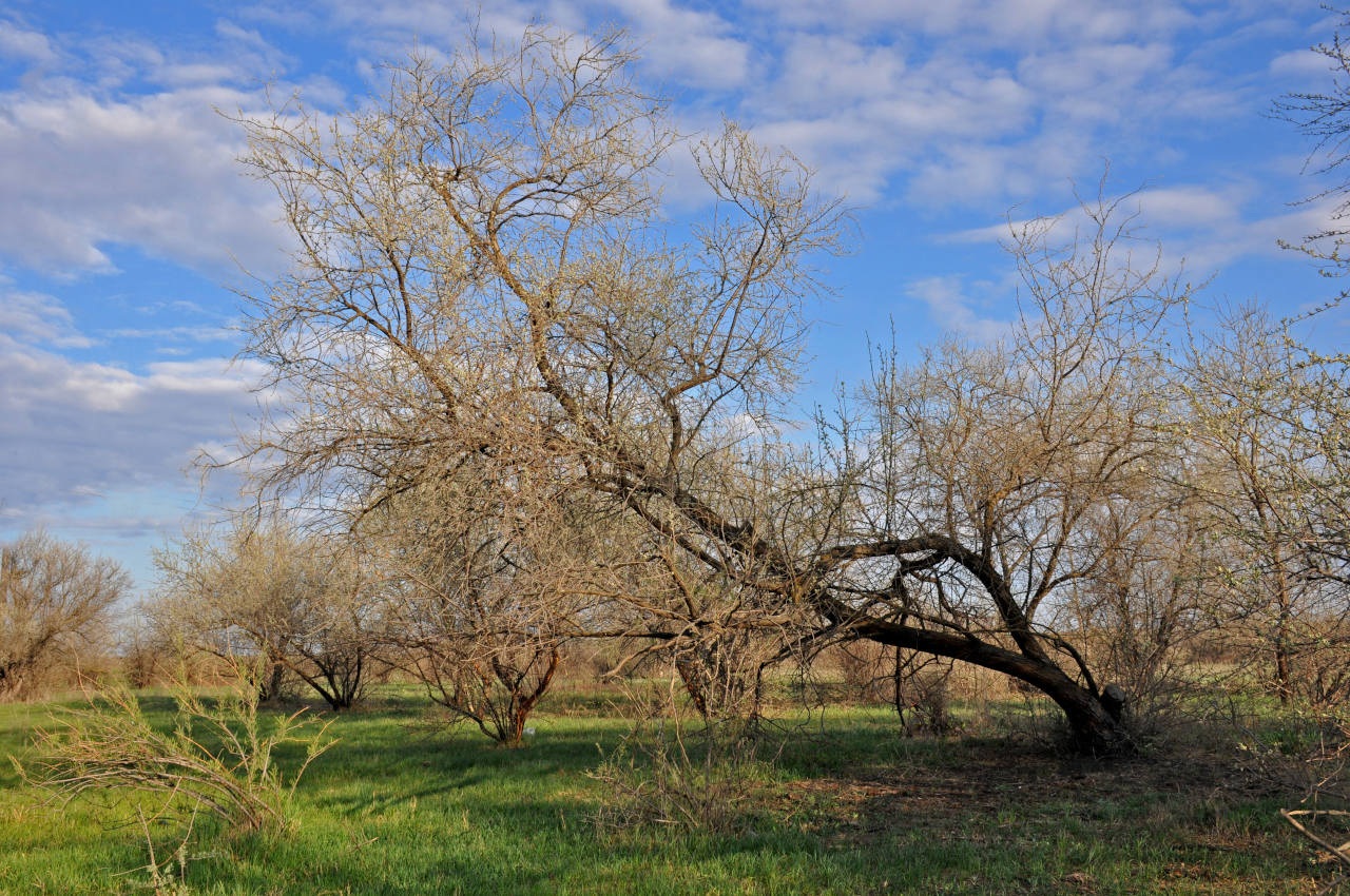 Ерик Галга, image of landscape/habitat.