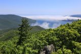 Landscape image