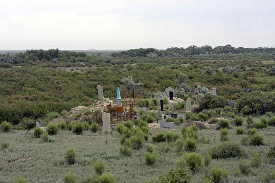 Правобережье Сыр-Дарьи, image of landscape/habitat.