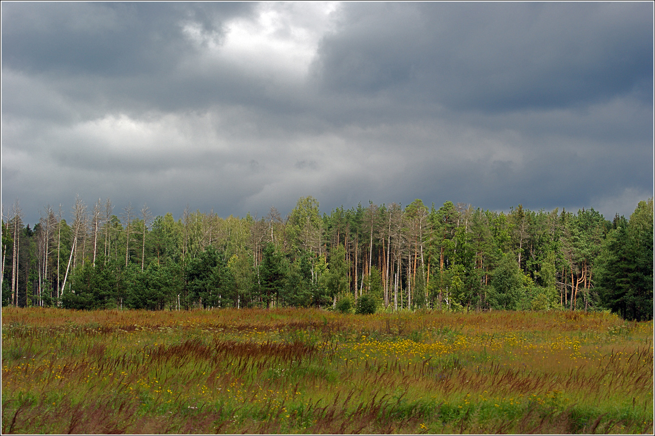 Окрестности Хрипани, image of landscape/habitat.