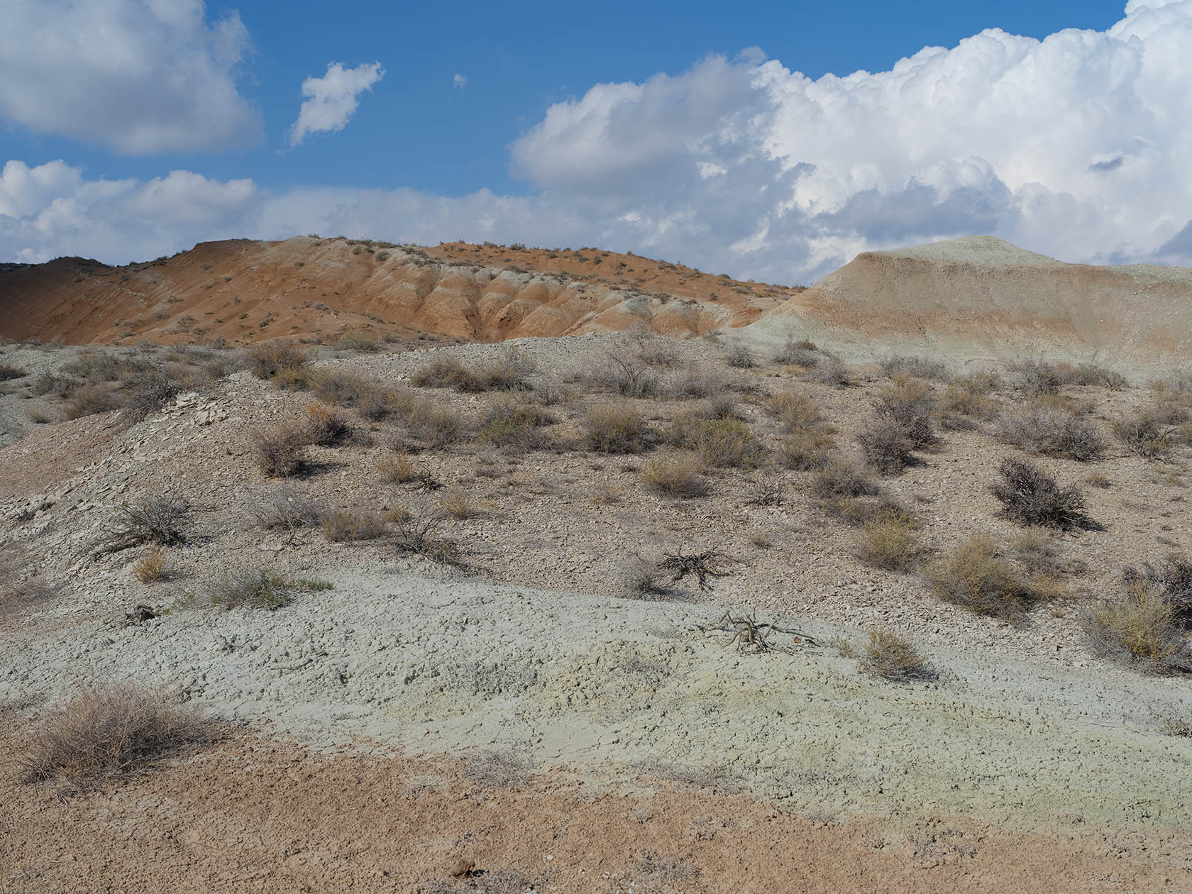 Долонтау, image of landscape/habitat.