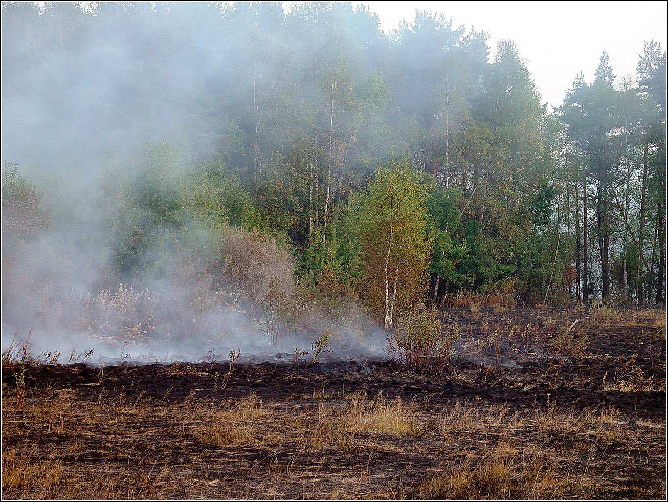 Окрестности Хрипани, image of landscape/habitat.
