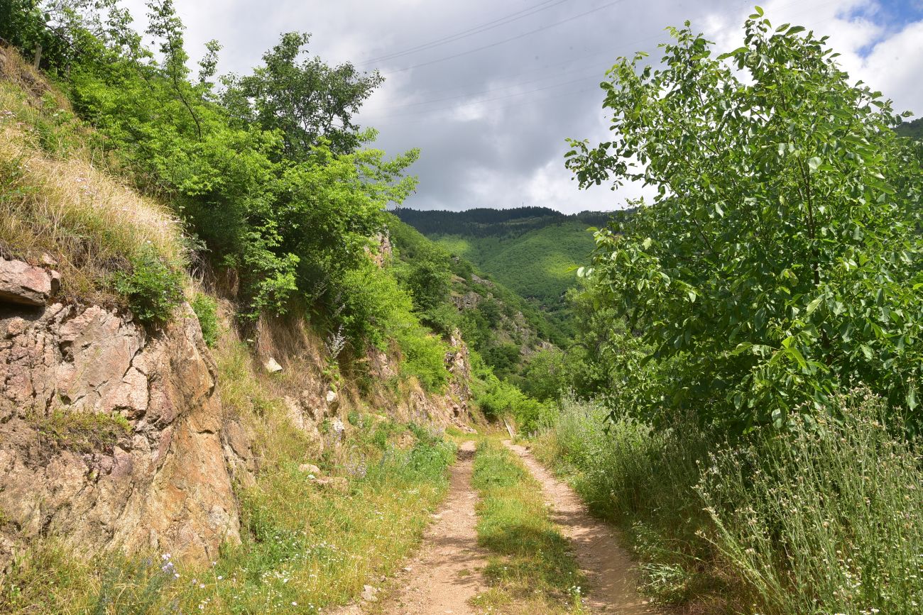 Окрестности деревни Баглик, image of landscape/habitat.