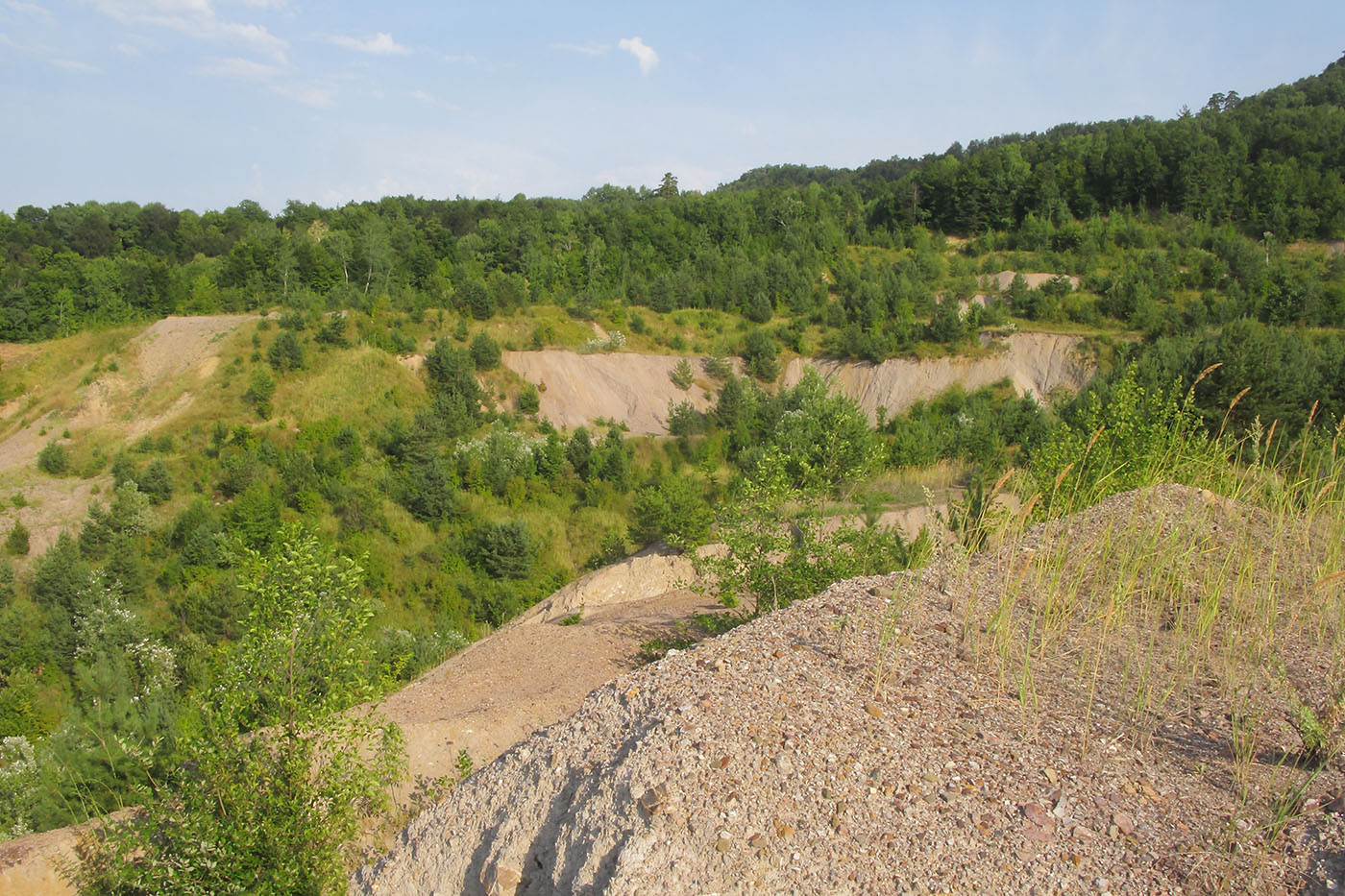 Заброшенный ртутный карьер, image of landscape/habitat.