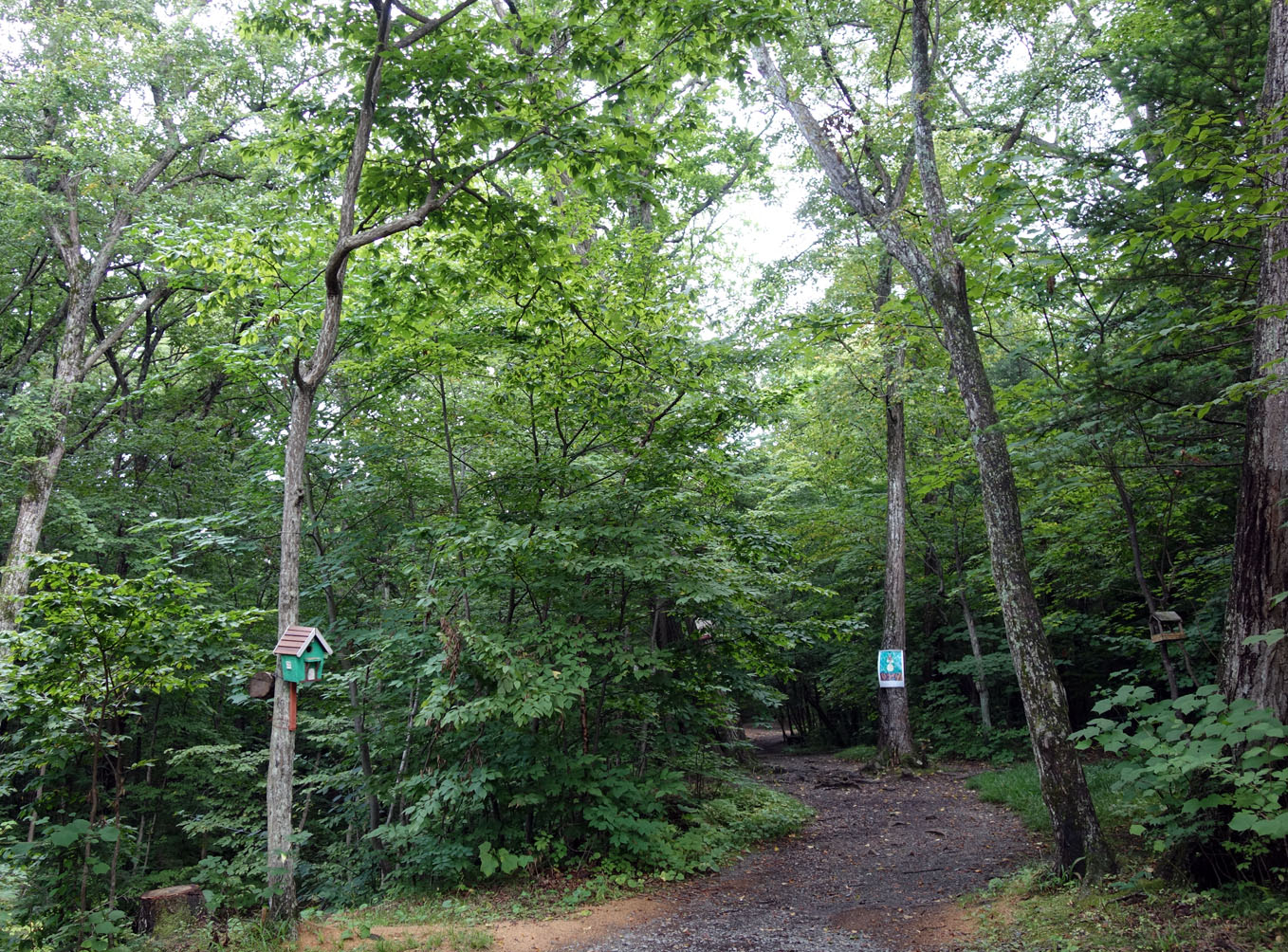 Ботанический сад и его окрестнос, image of landscape/habitat.
