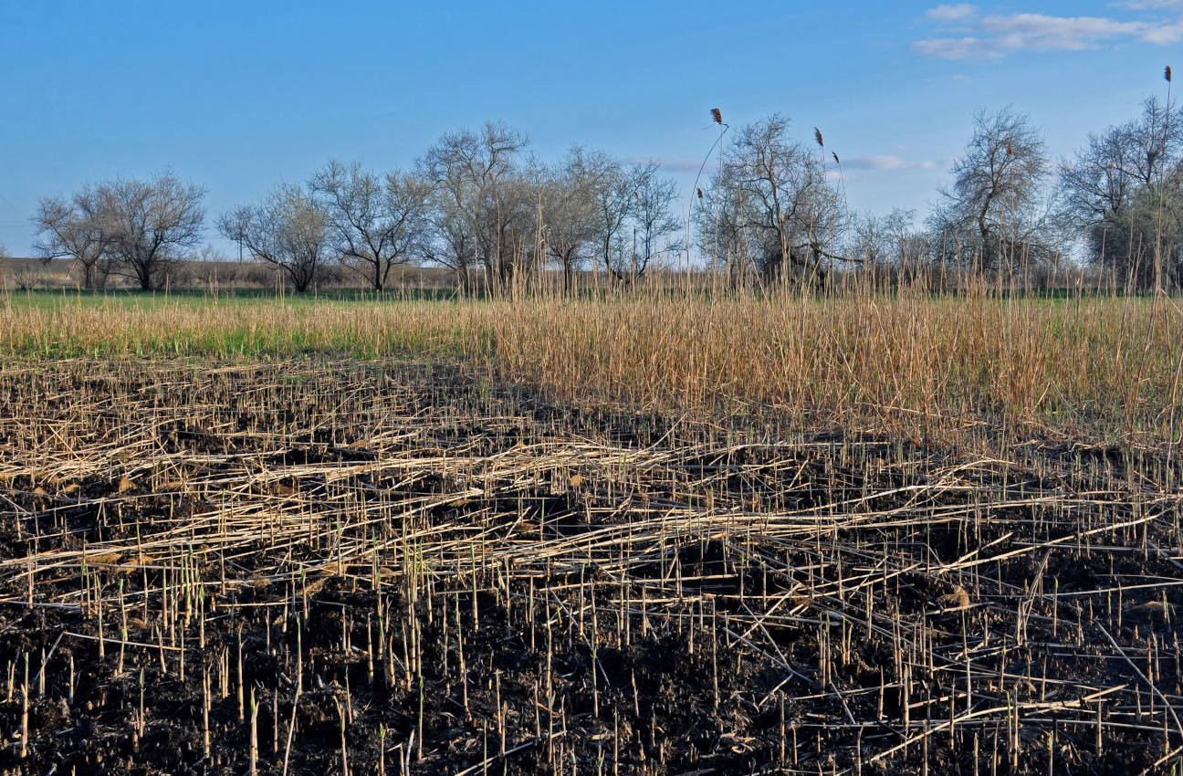 Ерик Галга, image of landscape/habitat.