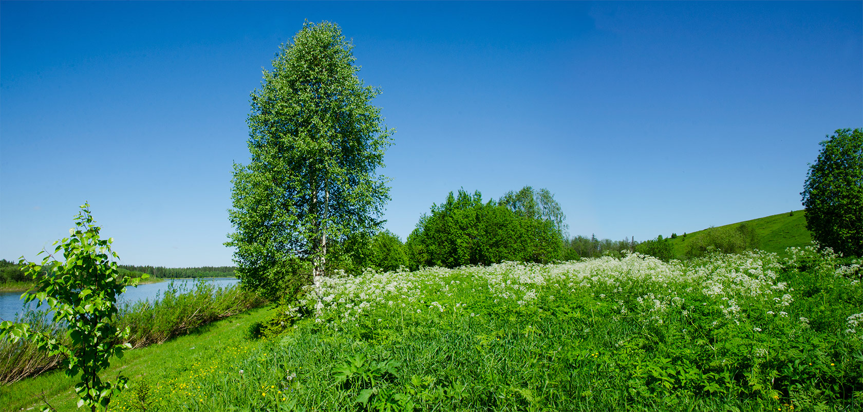 Камень, image of landscape/habitat.