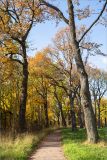 Парк «Собственная дача», image of landscape/habitat.