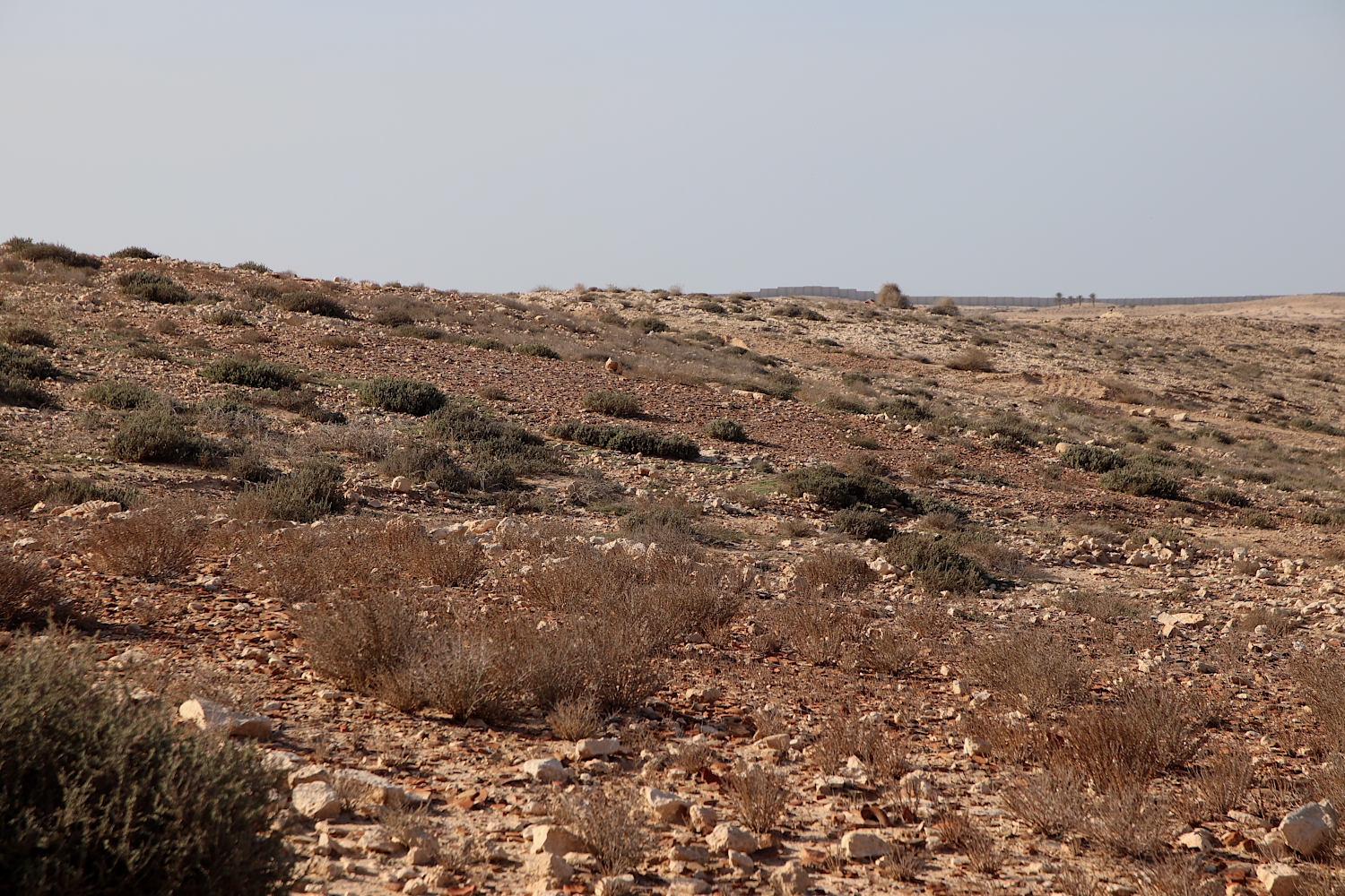 Побережье у Эль-Дабаа, image of landscape/habitat.