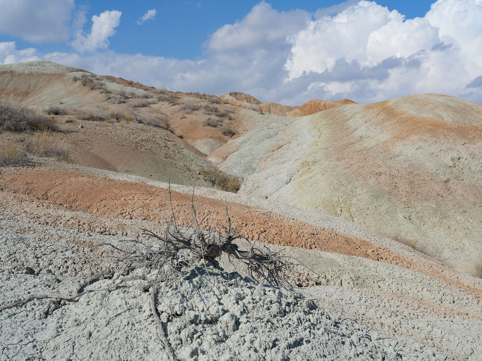 Долонтау, image of landscape/habitat.