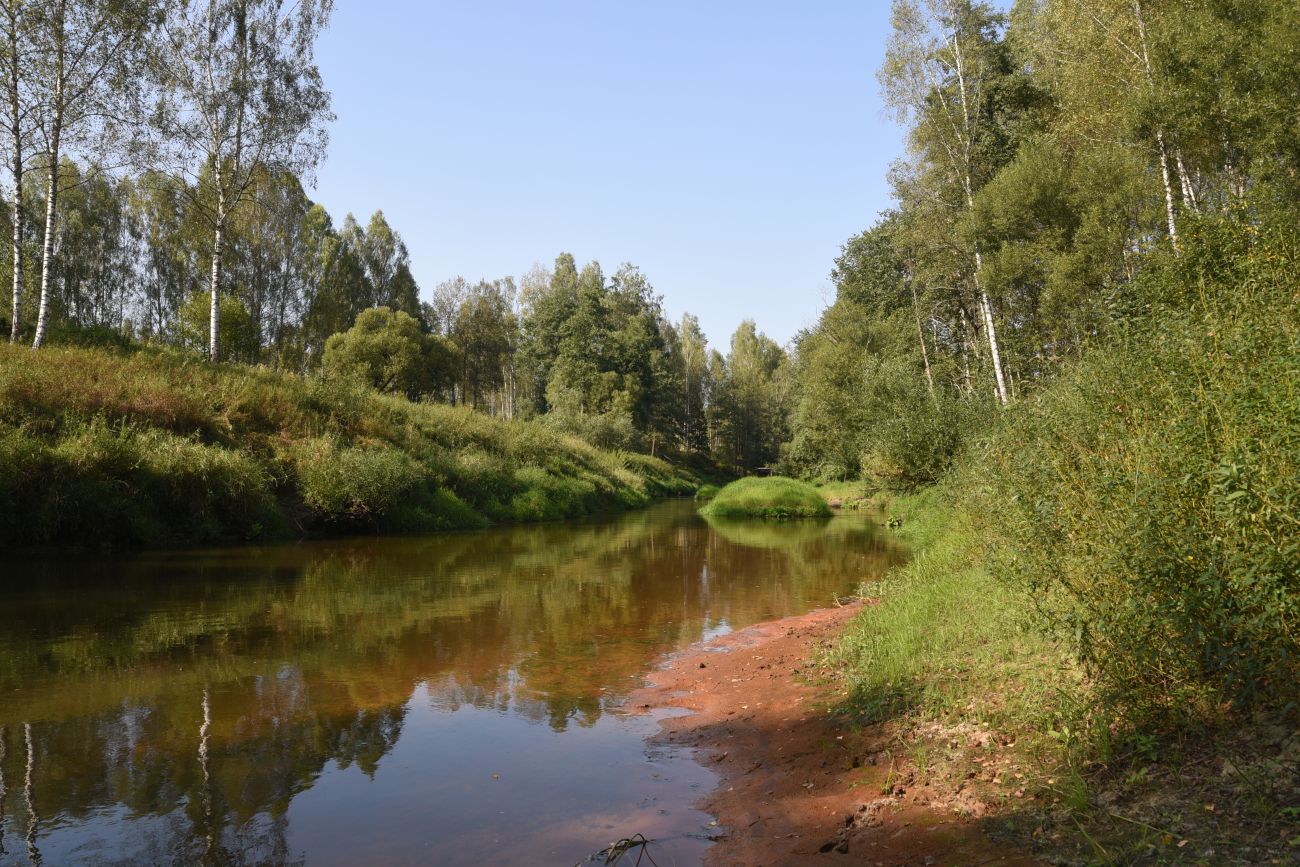 Устье ручья Радубеж, image of landscape/habitat.