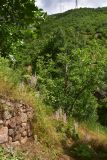 Image of landscape