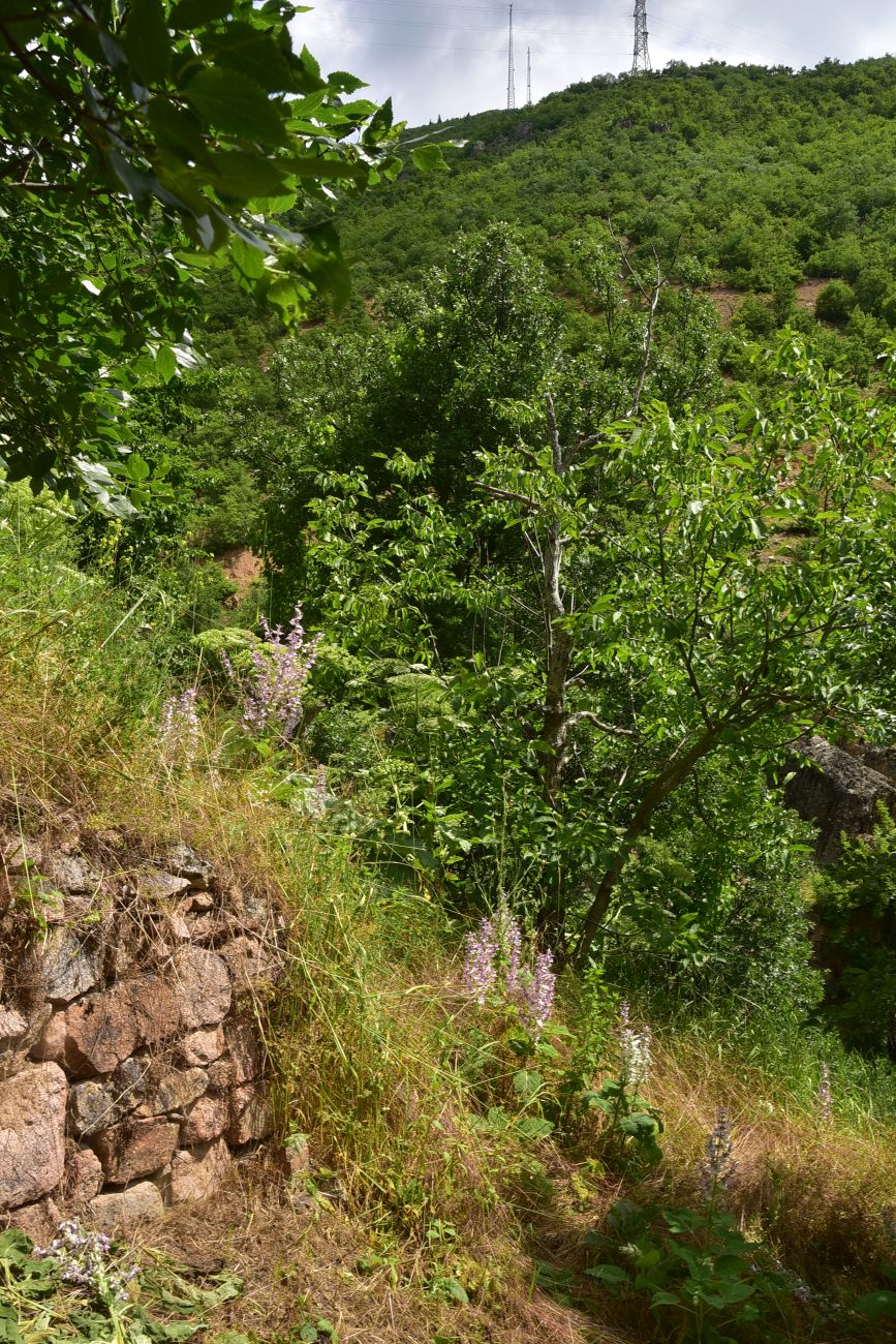 Окрестности деревни Баглик, image of landscape/habitat.