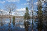 Окрестности Кемки, image of landscape/habitat.