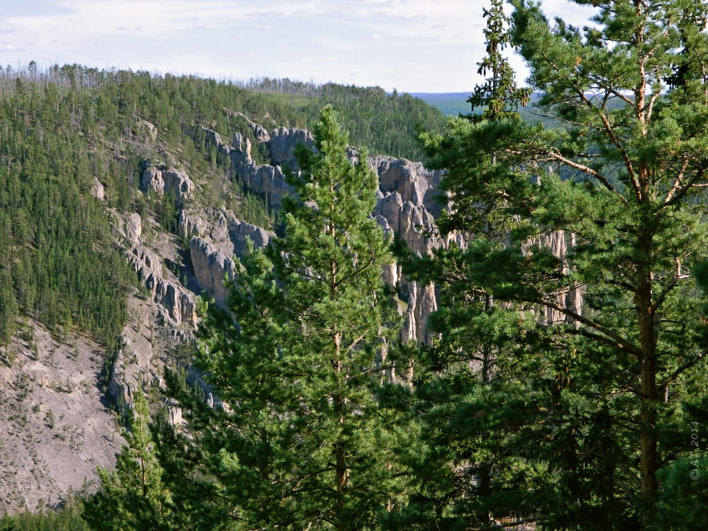 Низовья Лабыи, image of landscape/habitat.