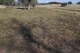 Image of landscape