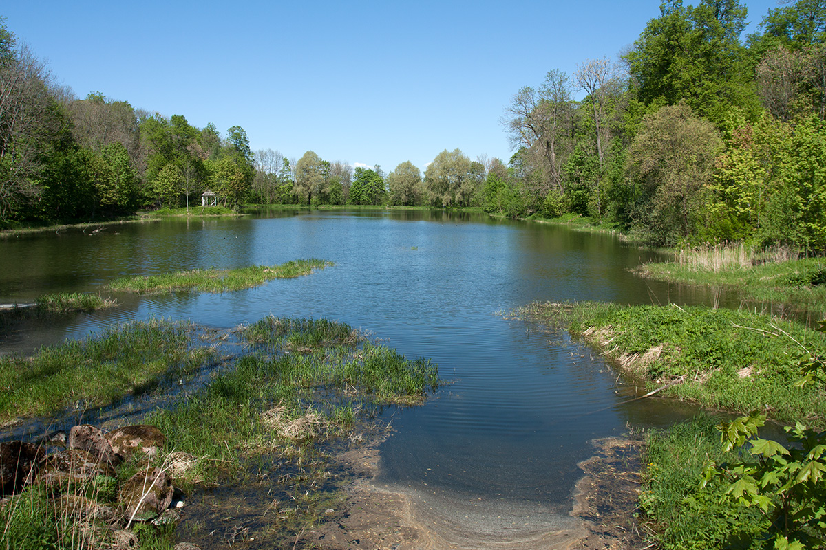 Гостилицы, image of landscape/habitat.