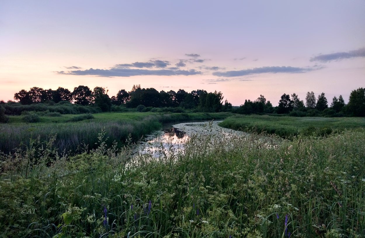 Верховья Каспли, image of landscape/habitat.